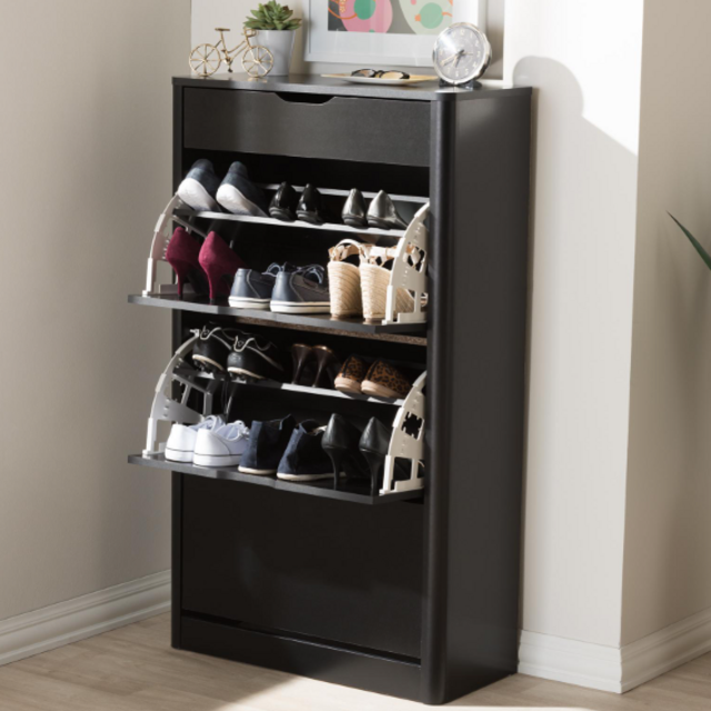 Modern and Contemporary Shoe Cabinet