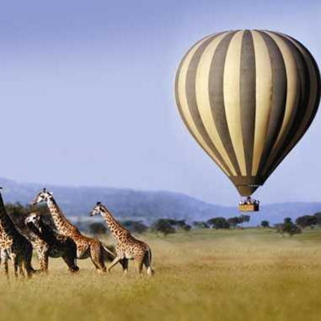Serengeti Hot Air Balloon Ride