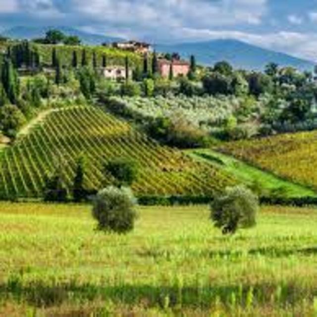 Day Trip in Tuscany