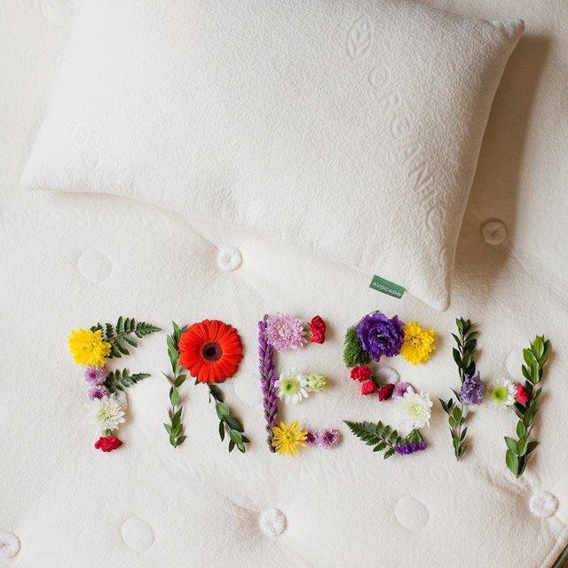 Avocado Green Pillow