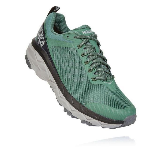 Men's Challenger ATR 5, Myrtle color, size 11