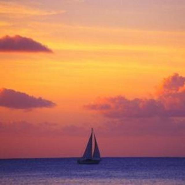 Honeymoon Excursions