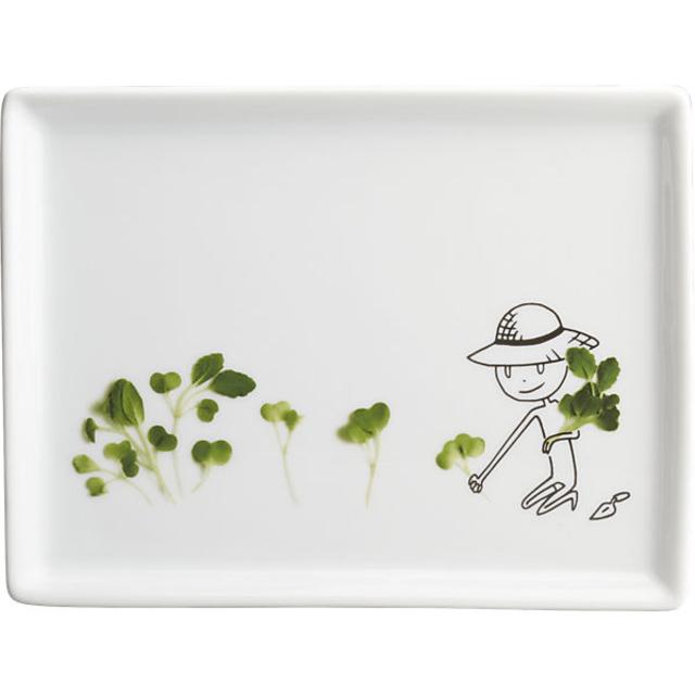 oliver microgreens appetizer plate