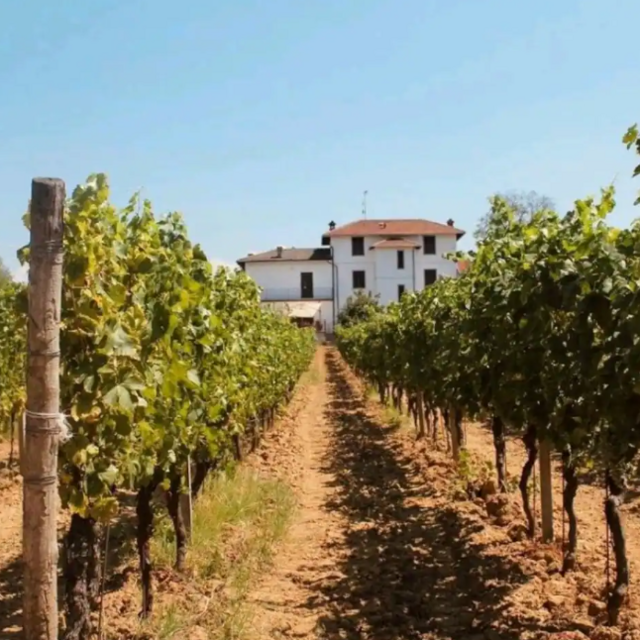 2 nights in Italian Vineyard