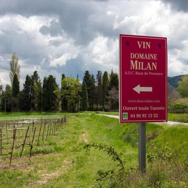 Wine Tasting at Domaine Milan