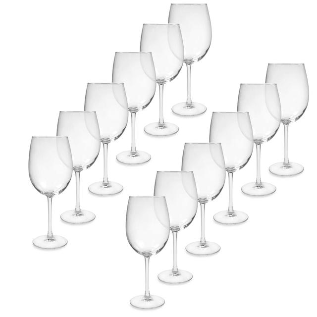 Dailyware® All-Purpose 18.5 oz. Wine Glasses (Set of 12)