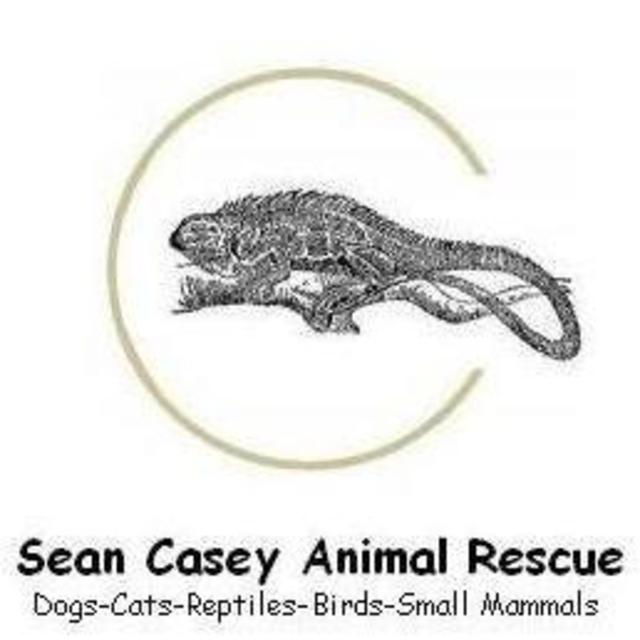 Donate to Sean Casey Animal Rescue