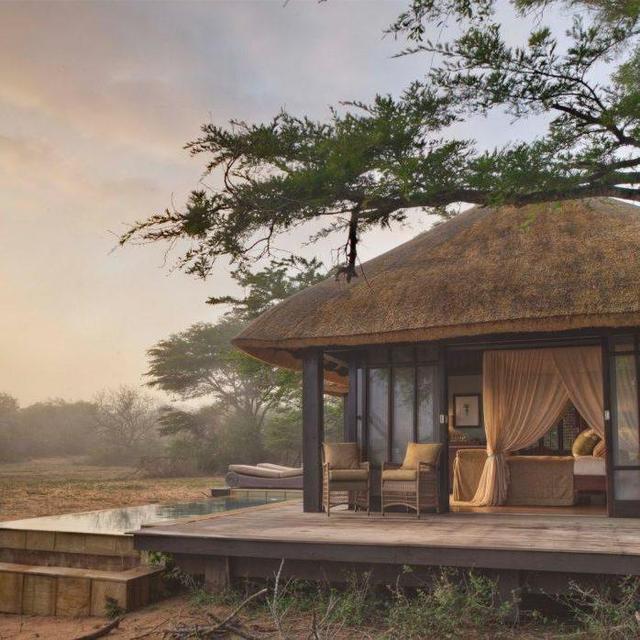 South Africa Safari Adventure