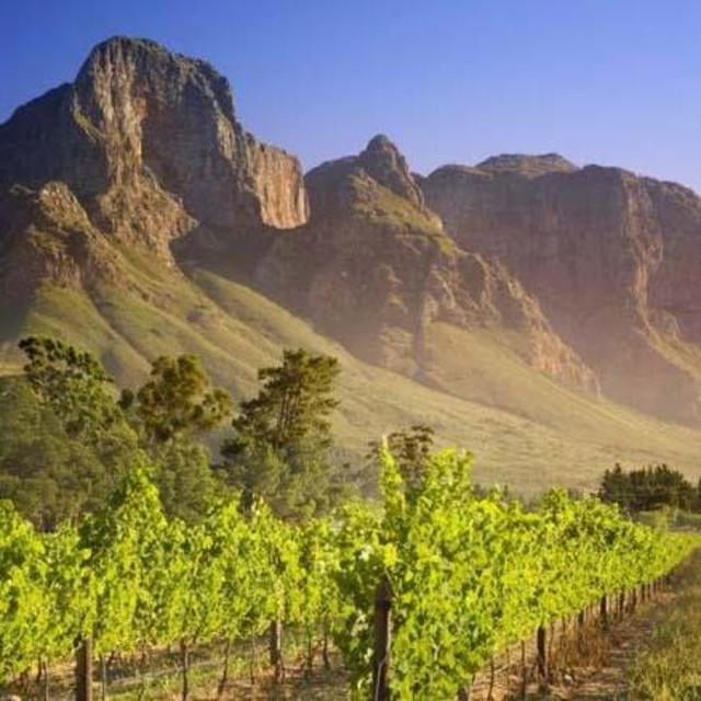 Cape Town Wine Tour