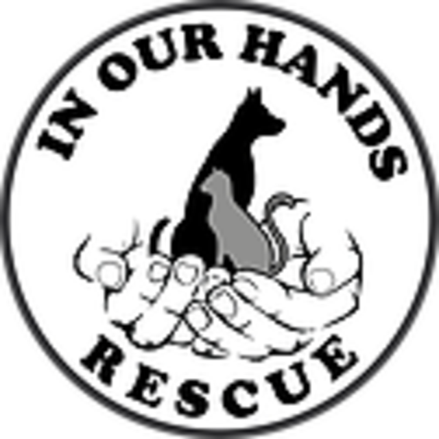 Charity: In Our Hands Rescue