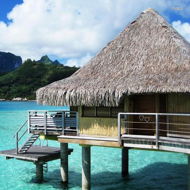 Honeymoon Fund