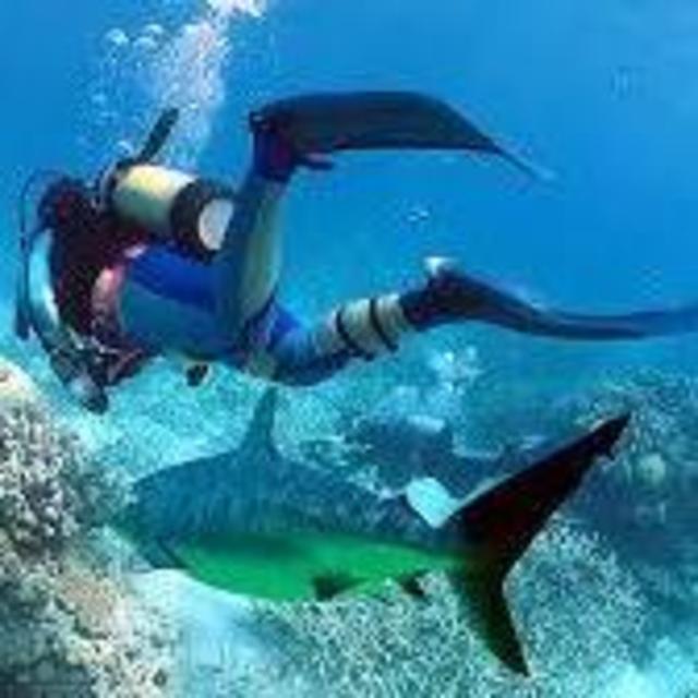 Scuba Diving