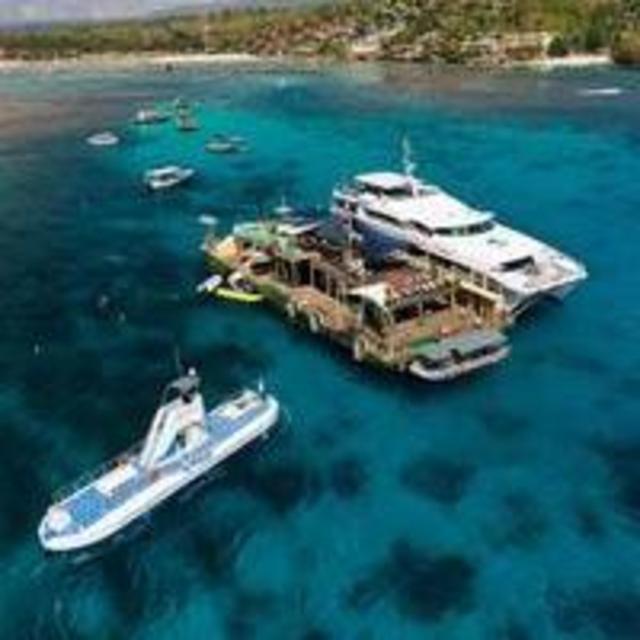 Island Reef Cruise