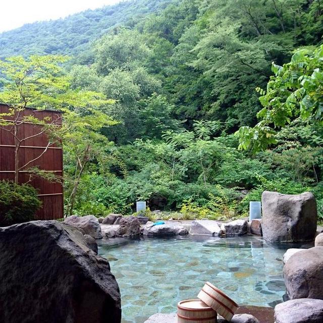 Honeymoon Lodging