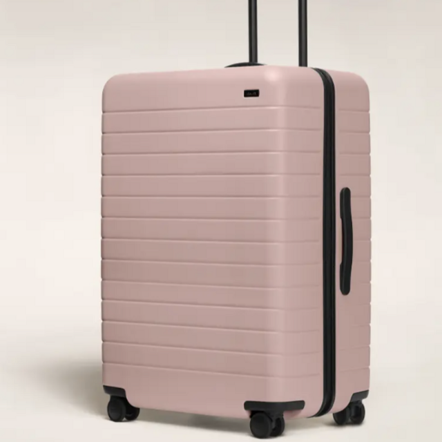 The Large in Color Petal (Pink!)