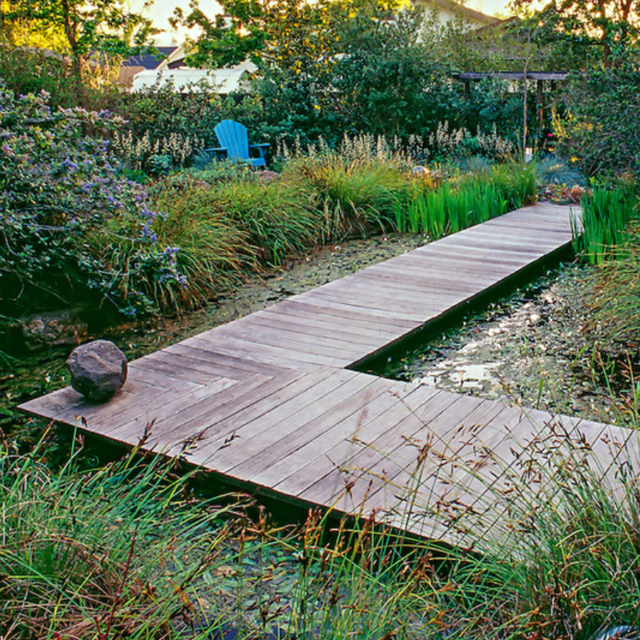 Rain Garden front yard retrofit