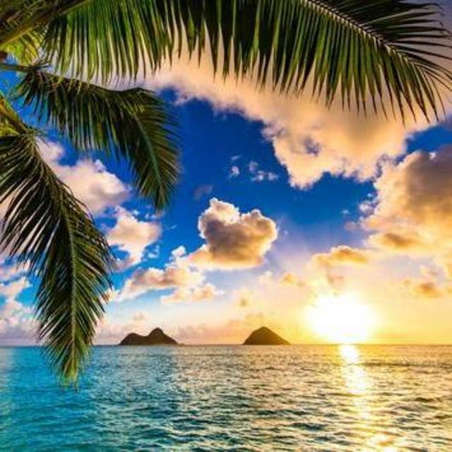Hawaii Honeymoon