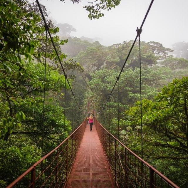 Visit Monteverde Cloud Forest Canopy on Honeymoon