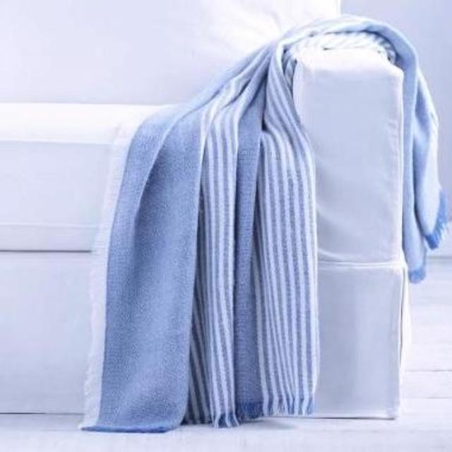 Pottery Barn: Clover Stripe Throw, 50 x 60", Light Blue