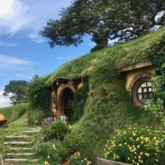 Honeymoon to New Zealand