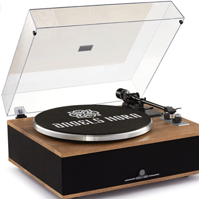 ANGELS HORN Vinyl Record Player, Bluetooth Turntable with Built in Speakers Phono Preamp, High Fidelity Turntables for Vinyl Records with Magnetic Cartridge AT-3600L, Belt Drive 2-Speed