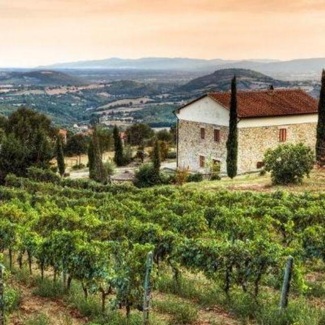 Tuscany wine tasting and tour
