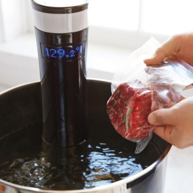 Sansaire Sous-Vide Immersion Circulator