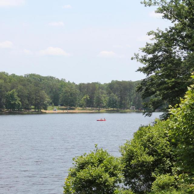 Weekend at Bear Creek