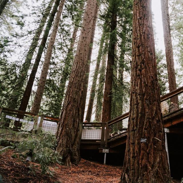 Help us have a fun wedding trip to the PNW!