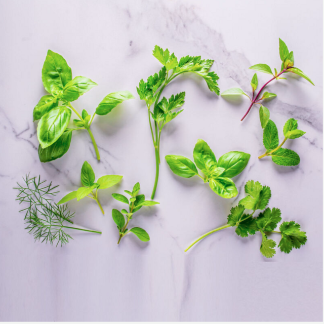 AeroGarden: 6 Herb Seed Pod Kit