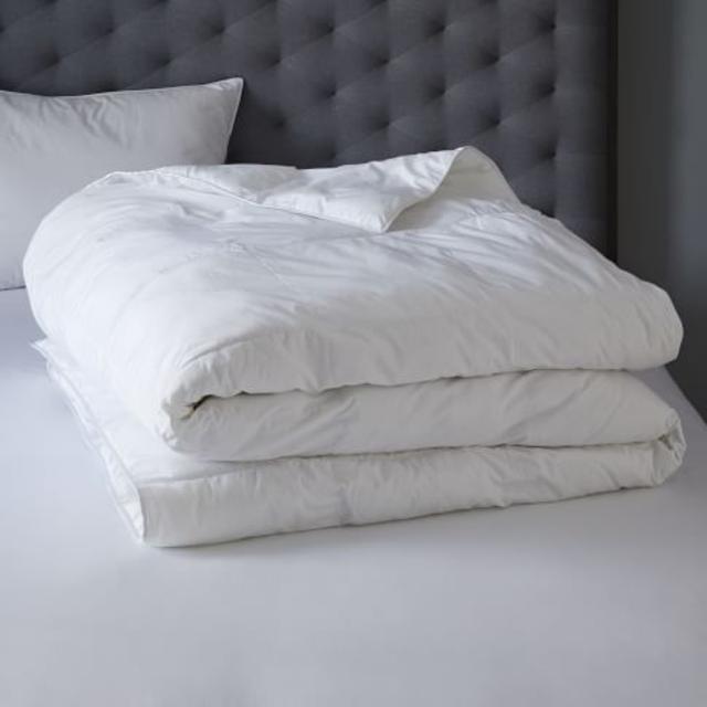Duvet Cover Insert, Standard, Down Alternative, Queen