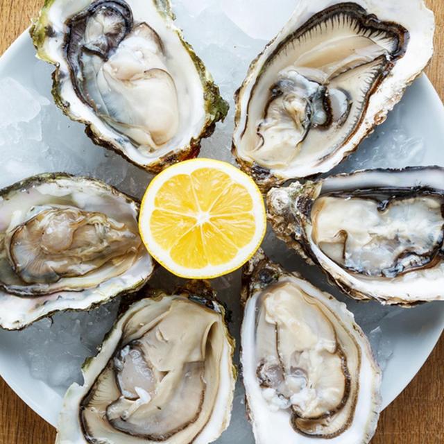 Oyster Adventure