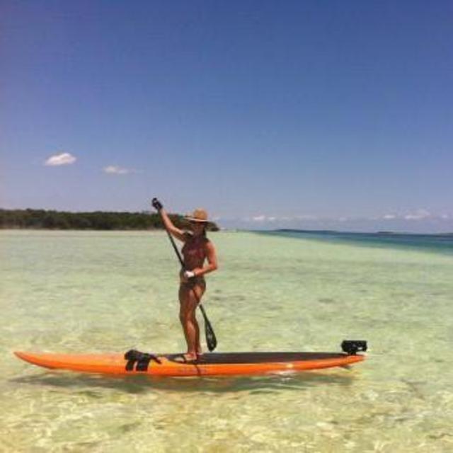 Paddleboarding the Mangroves