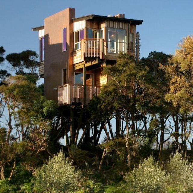 Accommodations in the Tree House Hotel