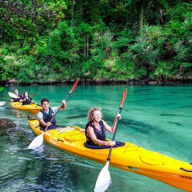 Kayaking in Abel Tasman National Park