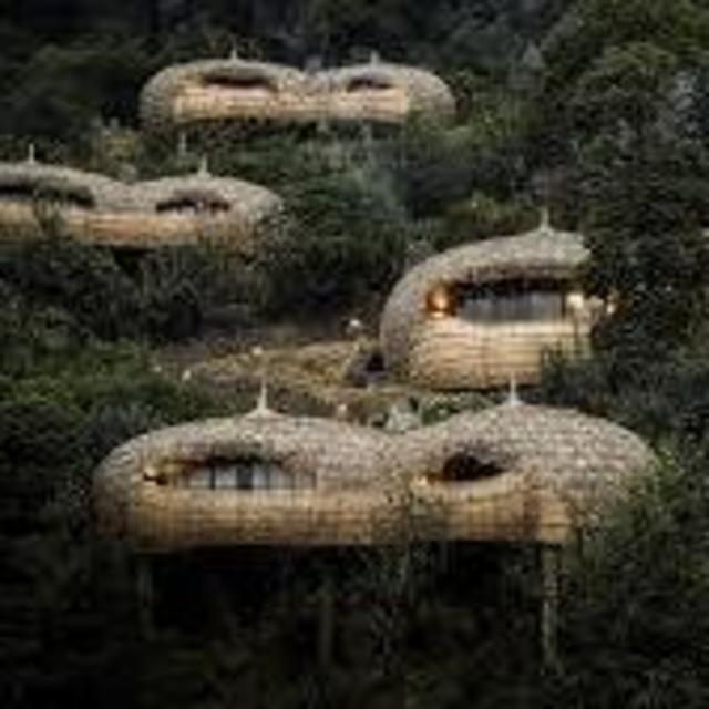4 Nights at Bisate Lodge in Rwanda