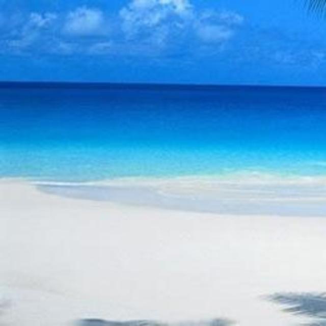 Antigua Honeymoon Fund