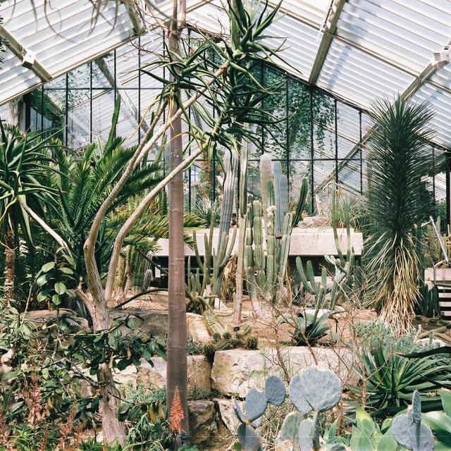 Brooklyn Botanic Garden Membership