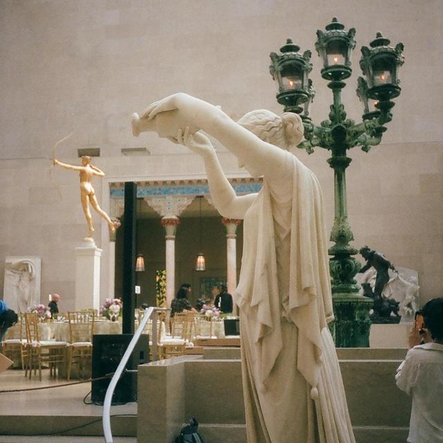 Metropolitan Museum of Art membership