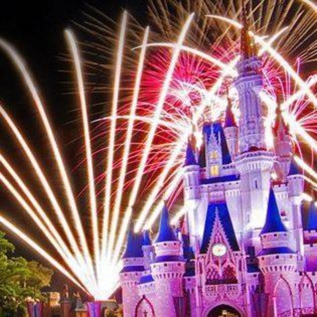 Dinner With a View: Disney World Fireworks
