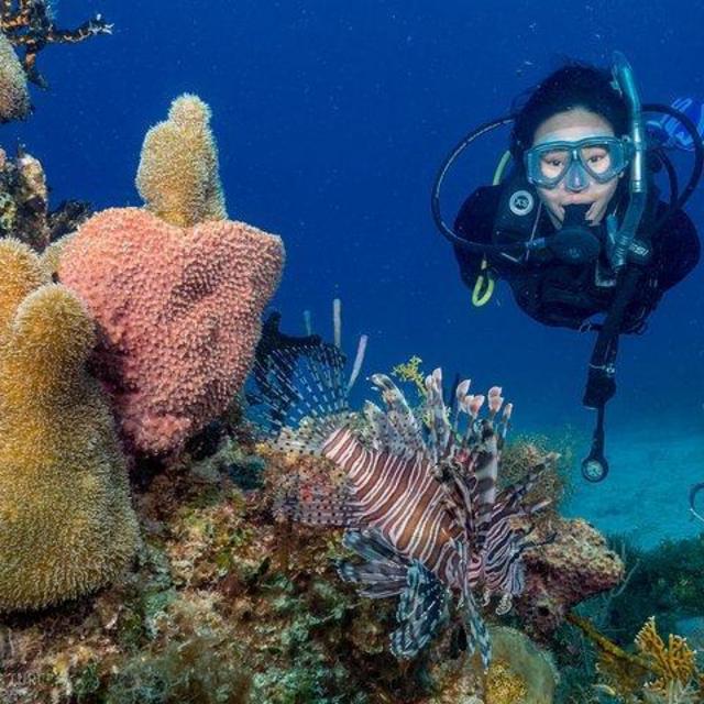 Honeymoon Scuba Diving