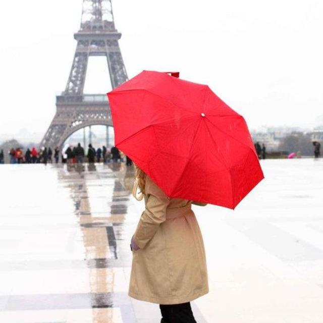 Samsonite Windguard Auto Open/Close Umbrella