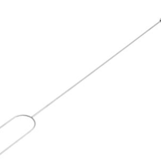 Coghlan's Camp Forks