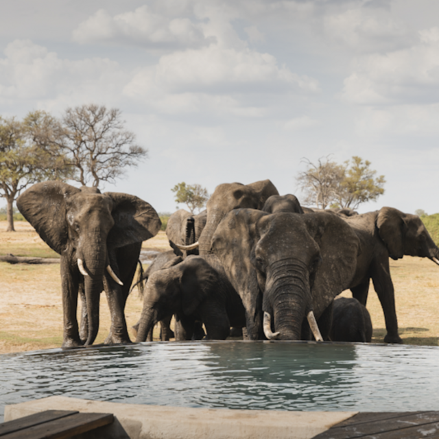 Honeymoon Lodging - Zimbabwe Pt 2 - 3 nights
