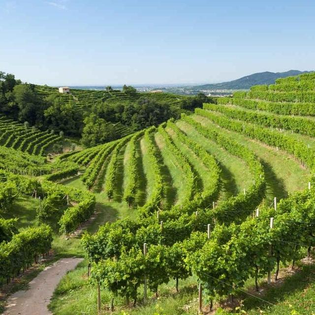 Prosecco Country Tour & Tasting