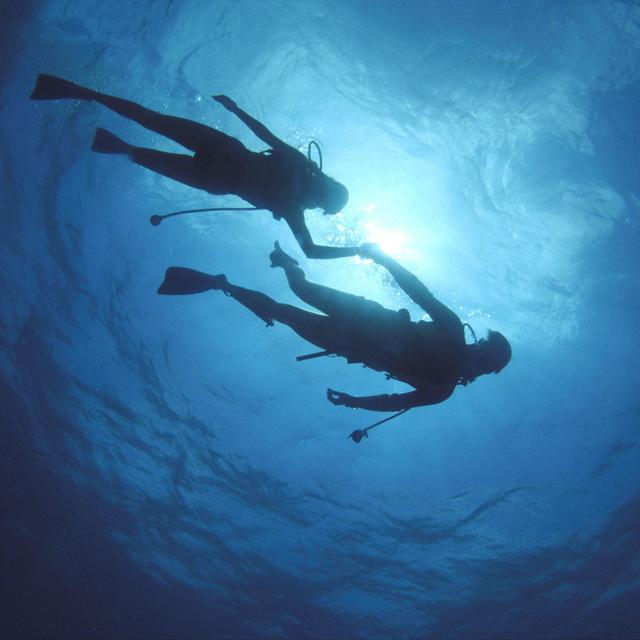 Scuba Diving Lessons (Honeymoon)