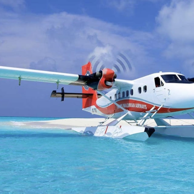 Seaplane Tour (Honeymoon)