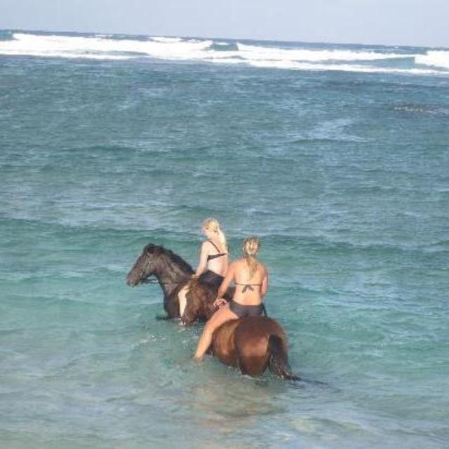 Horseback Riding