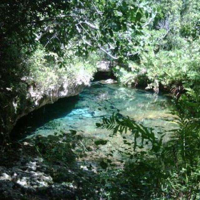 Indigenous Eyes Ecological Park