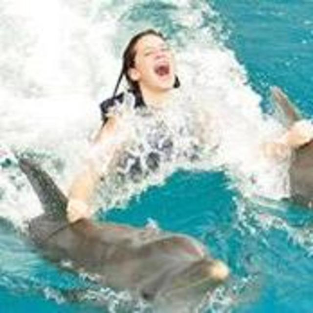 Ultimate Dolphin Swimming Experience